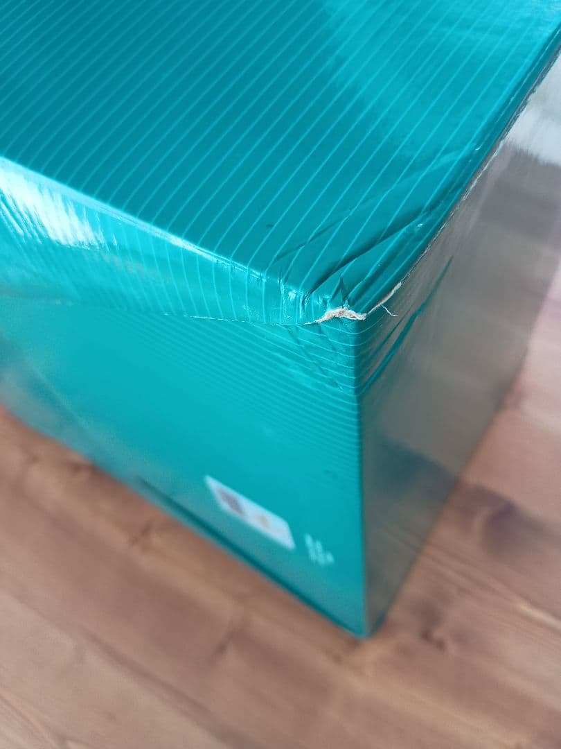 【〜2/1まで】ディズニー wdcc わんわん物語 ベラノッテ