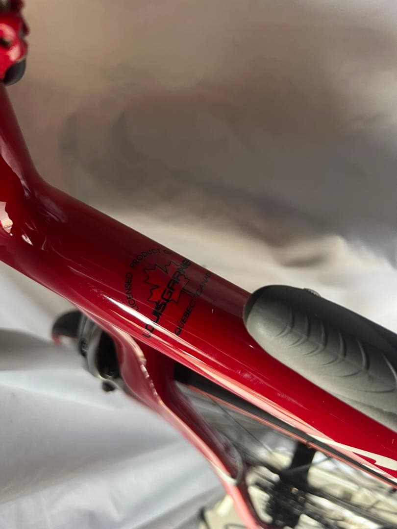 【9月26日に削除します】ガノー ロードバイク　本体セット一式