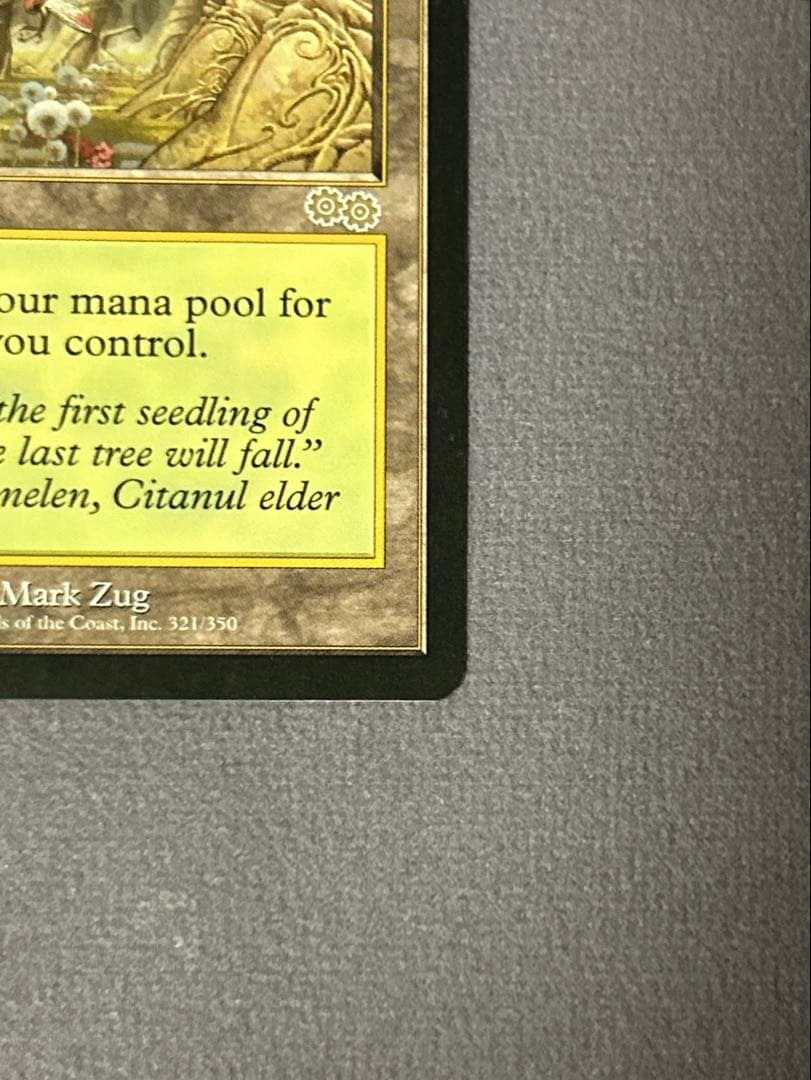 ガイアの揺籃の地 2枚 日本語版 英語版 MTG