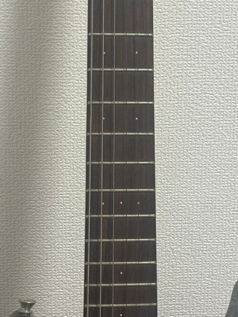 Marine Rider マリンライダー アンプエレキギターアンプ内蔵