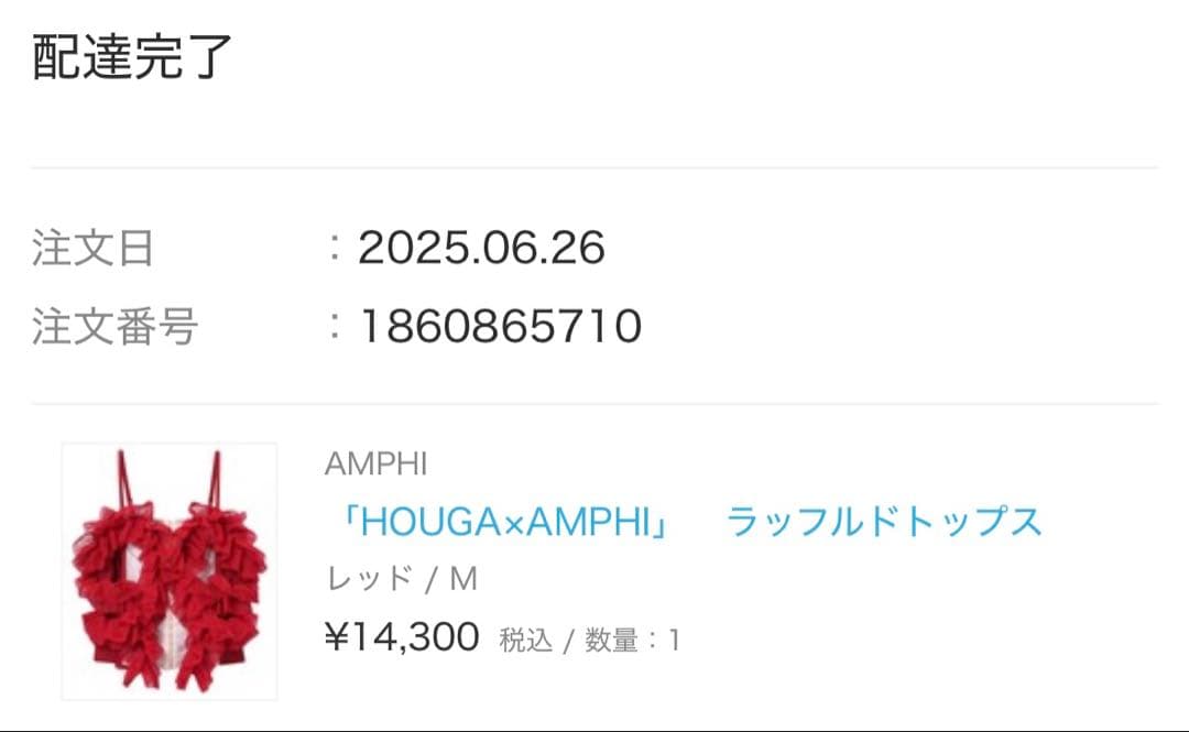 HOUGA×AMPHI ラッフルドトップス