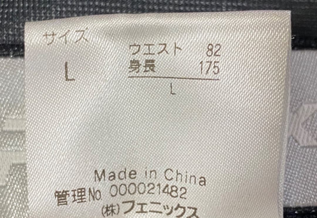 PHENIX フェニックス スキーパンツ シルバー Lサイズ ユーズド 美品