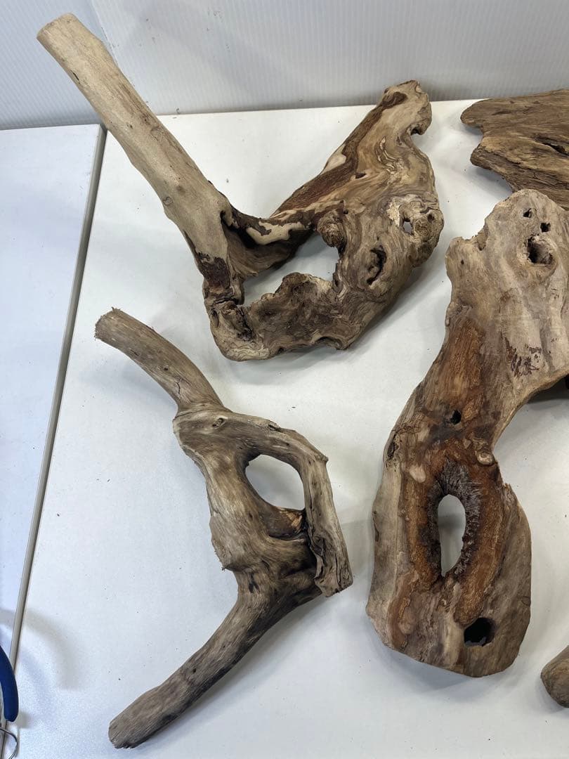 R70アク抜き済み流木 爬虫類シェルター レイアウト用 インテリア エアプランツ