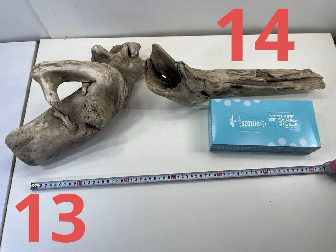 R70アク抜き済み流木 爬虫類シェルター レイアウト用 インテリア エアプランツ