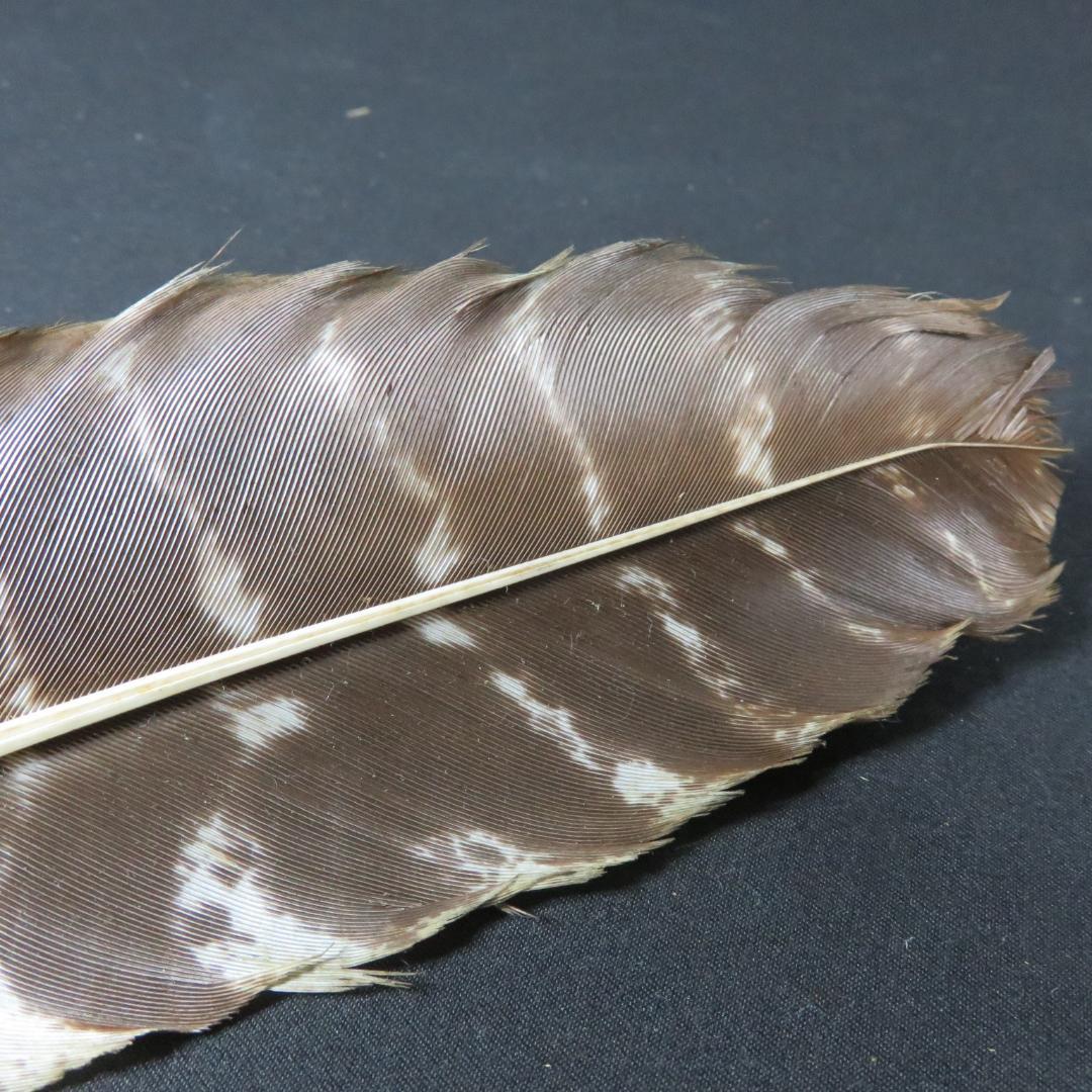 羽箒 2ケ 羽根 茶道具 茶器 茶会 茶の湯
