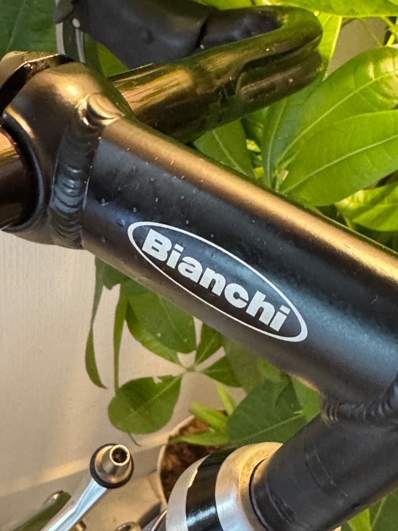 Bianchi ビアンキ Gold Race Special 53cm