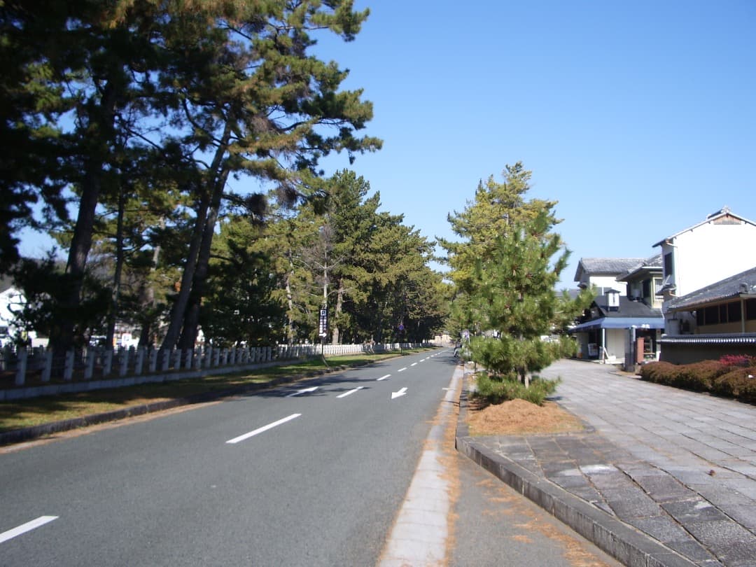 乾電池式/実写美⭕️【動作確認済】　PENTAX Optio S55