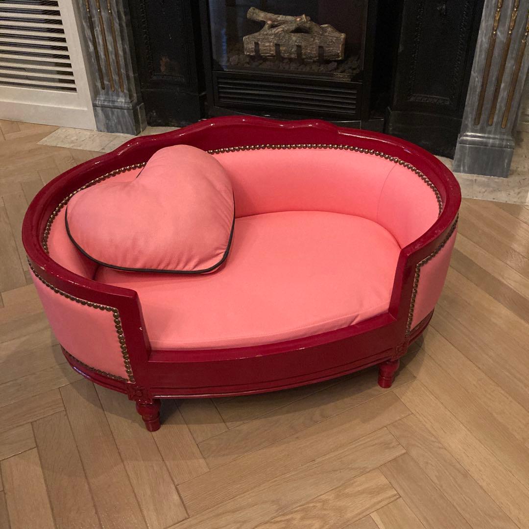 ピンクサロン小型犬