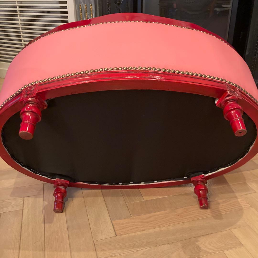 ピンクサロン小型犬