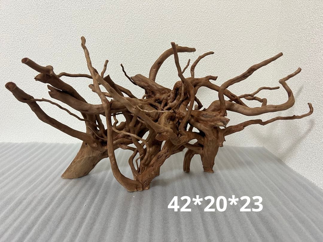 32701 ブランチウッド　流木　アクアリウム