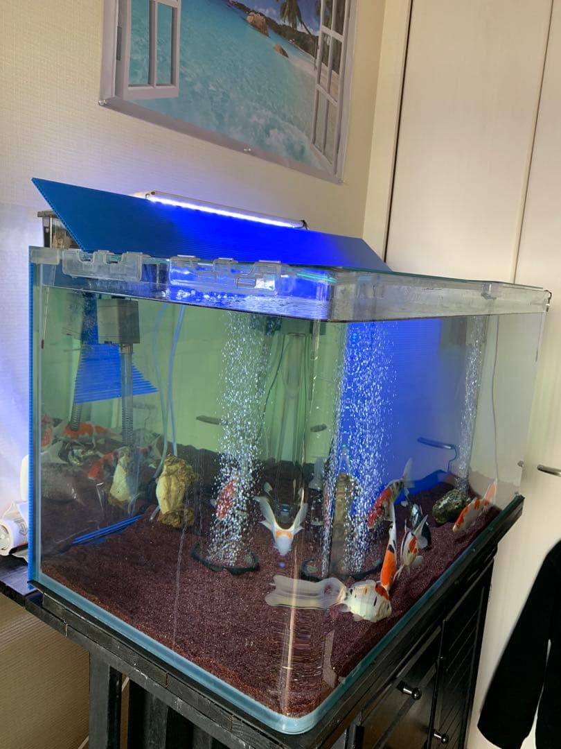 水槽コトブキ　90cm