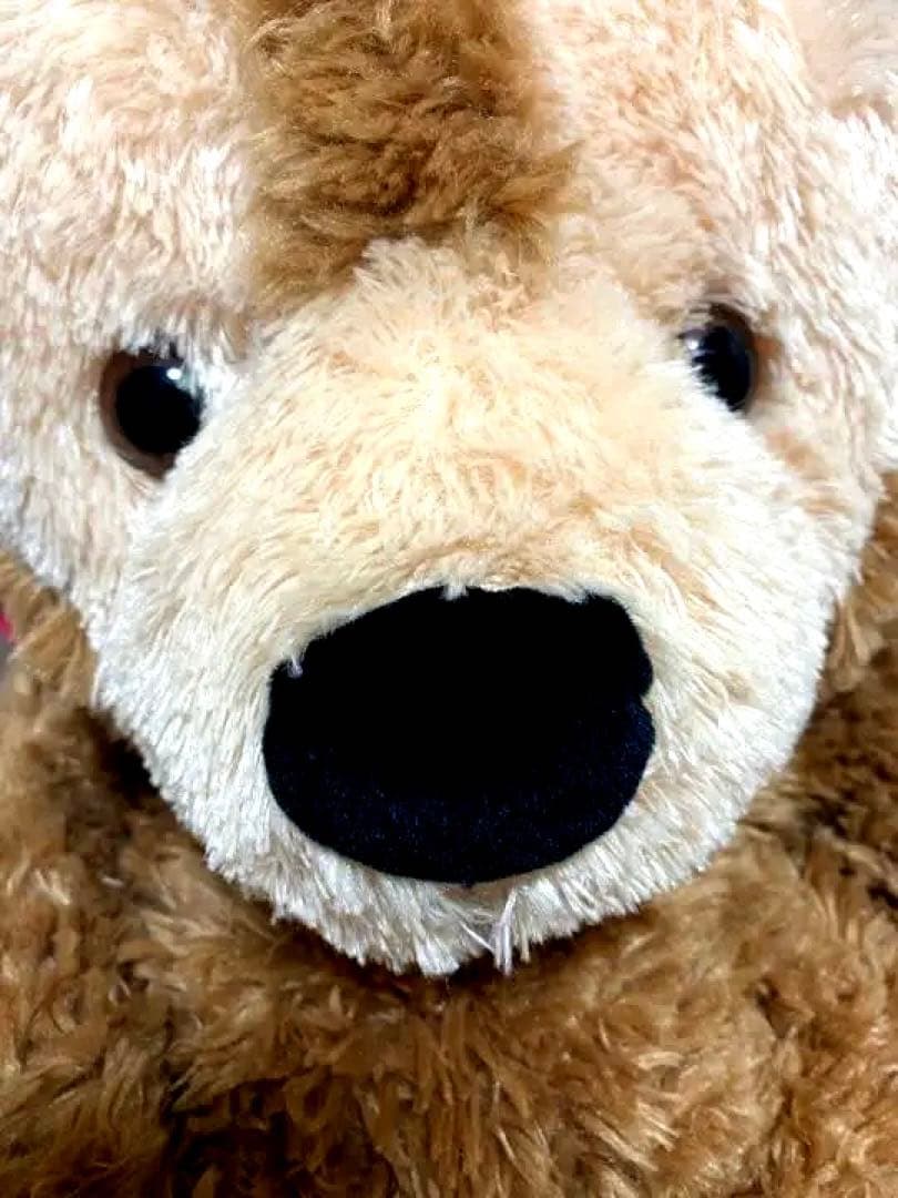 WDW ダッフィー ブラウン 貴重