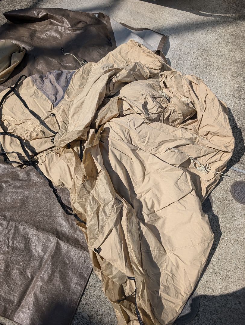 サバティカル　モーニンググローリーTC