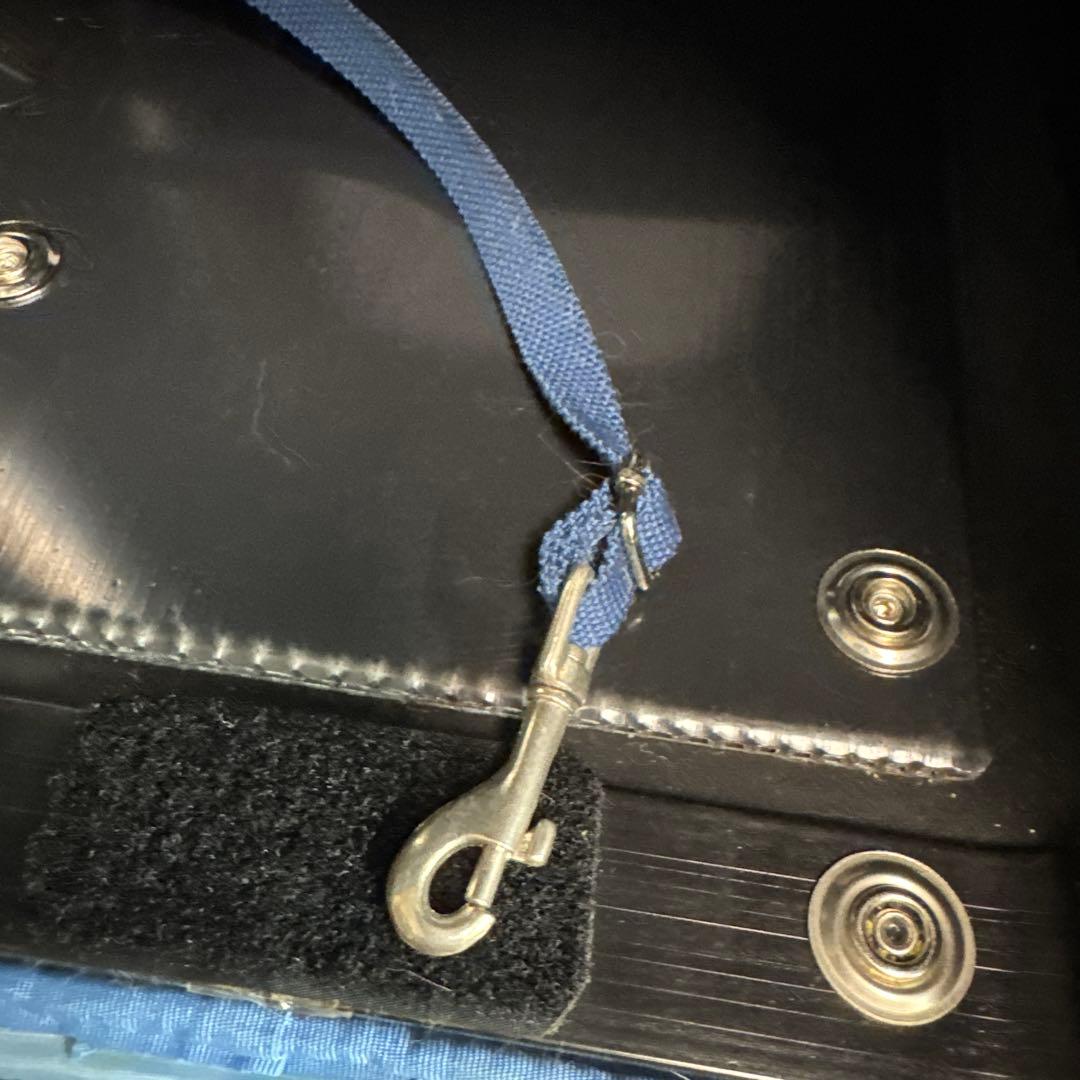 ペットパラダイスカート　リサとガスパール　ペットキャリー