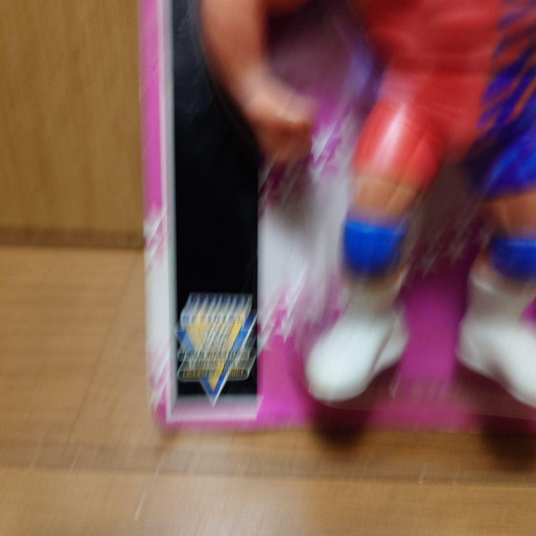 ハズブロ HASBRO WWF WWE　スタイナー・ブラザーズ　フィギュア