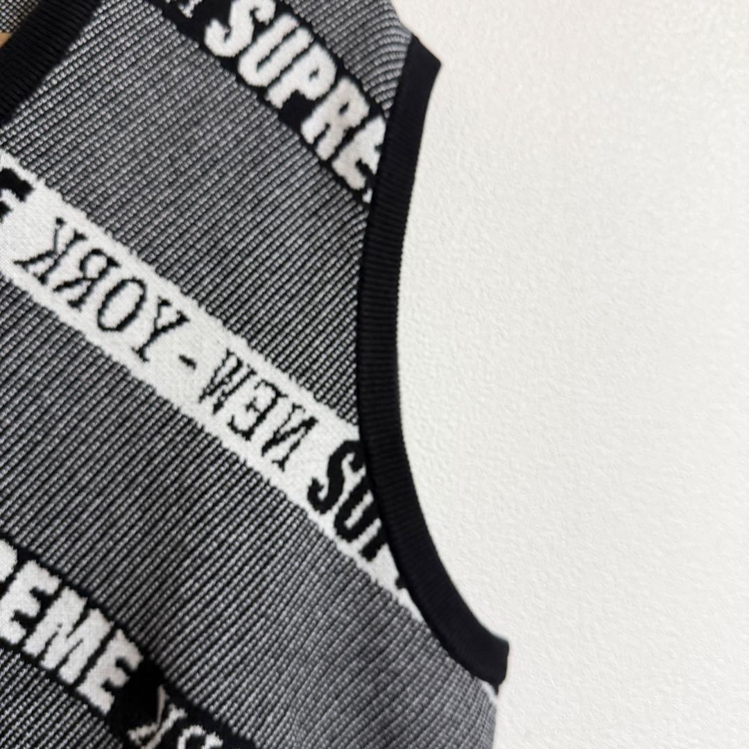 22SS Stripe Sweater Vest/ストライプニットベスト