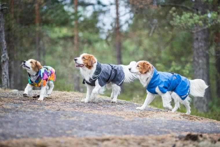 ドッグコート【Perus Pomppa】ペルス フィランド