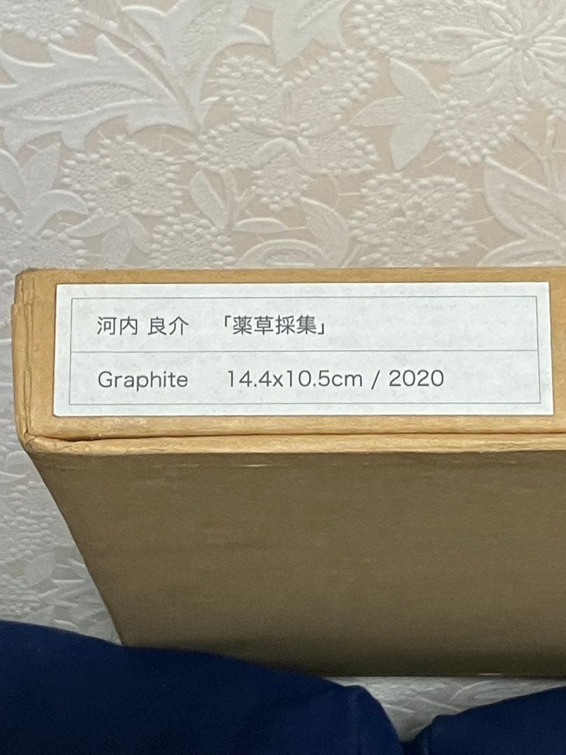 世界に一品　鉛筆画の異才　 河内良介作品「薬草採集」