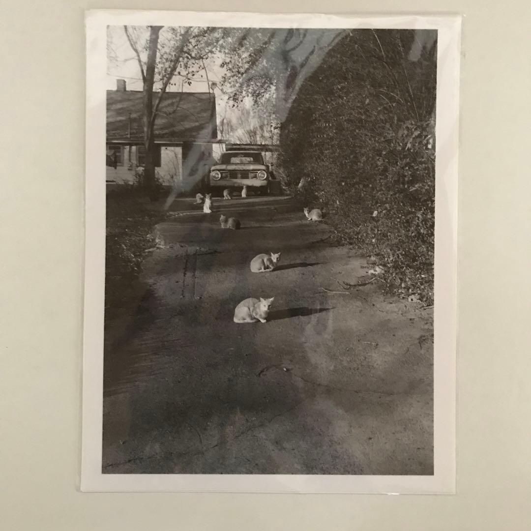 芸術写真 Mark Steinmetz / Original Print