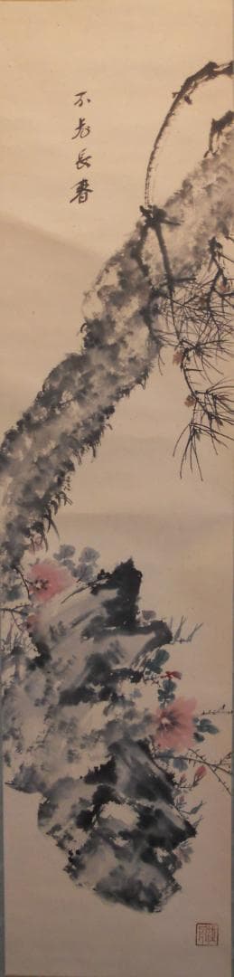 掛け軸 不老長春 紙本 希少 軸装 茶道具 掛軸 です。