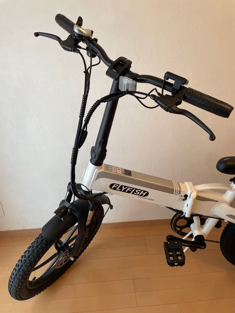 ⭐️2025年モデル 電動アシスト自転車 20インチ　FLYFISH⭐️