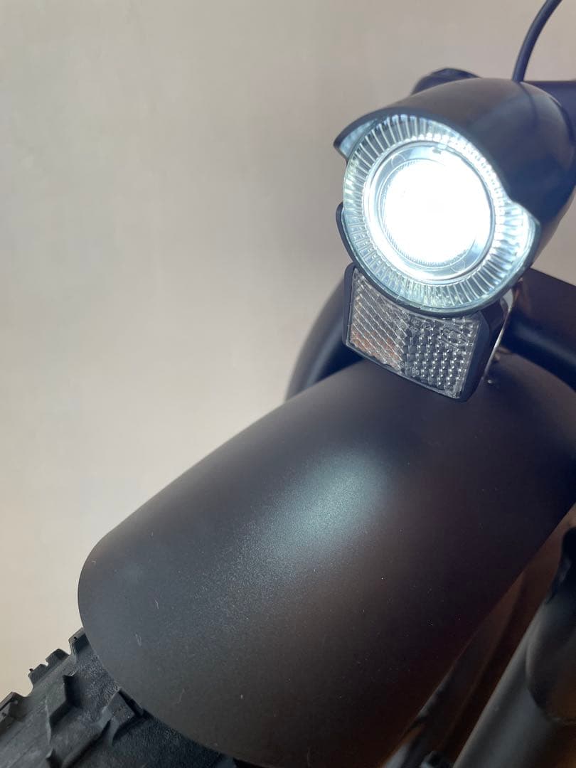 ⭐️2025年モデル 電動アシスト自転車 20インチ　FLYFISH⭐️