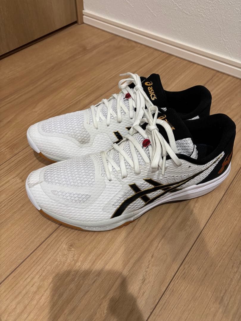 ローテジャパン ライトff2