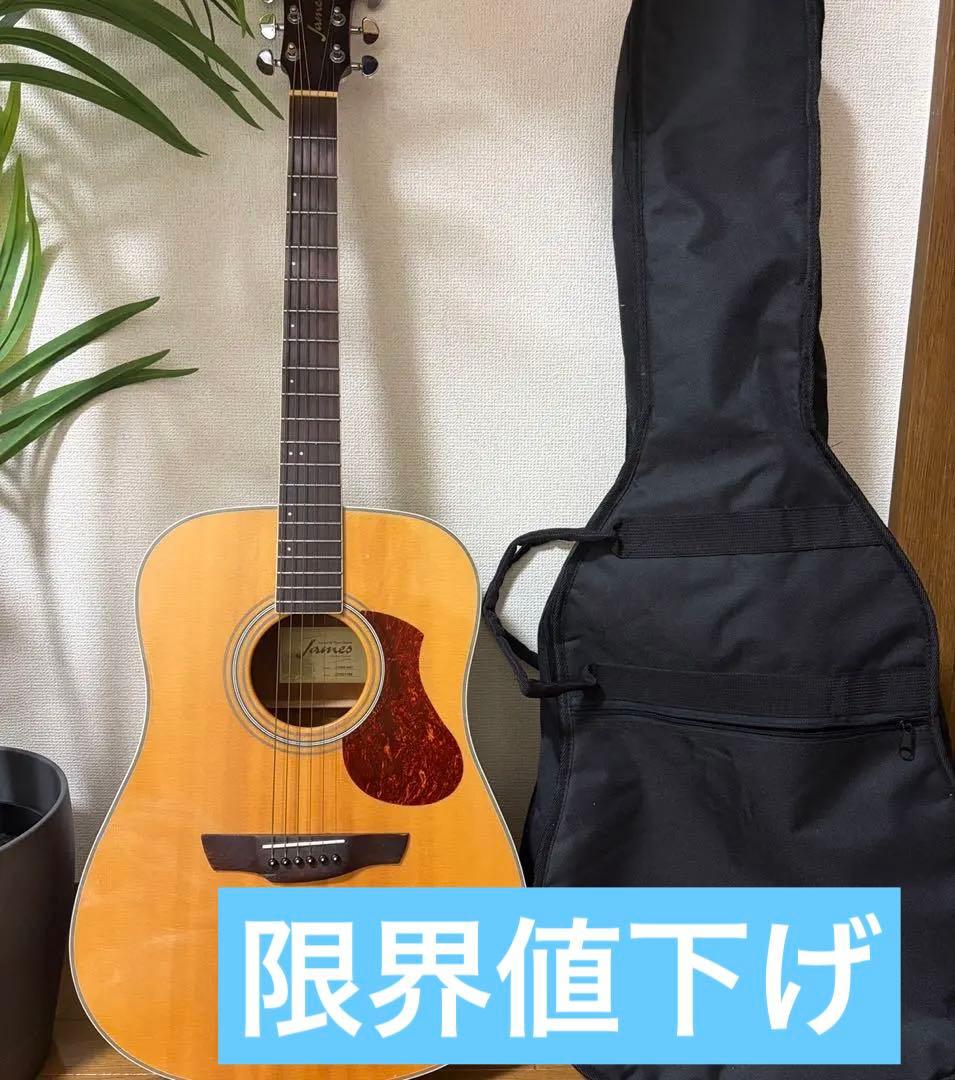 【美品】James J-300A NAT アコースティックギター　ソフトケース付