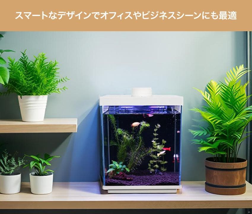 【オールインワン】スマートガラス水槽 Fish-α4 12L