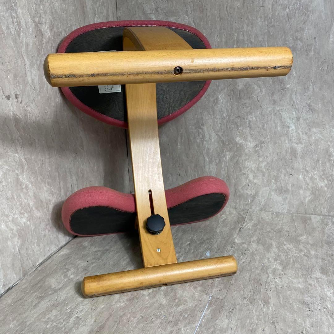 Rybo リボ社 Balans Easy バランスイージー ピンク 新品カバー付