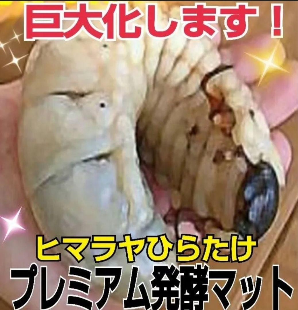 極上！プレミアム3次発酵カブトムシマット【たっぷり60L】幼虫の餌・産卵にも抜群