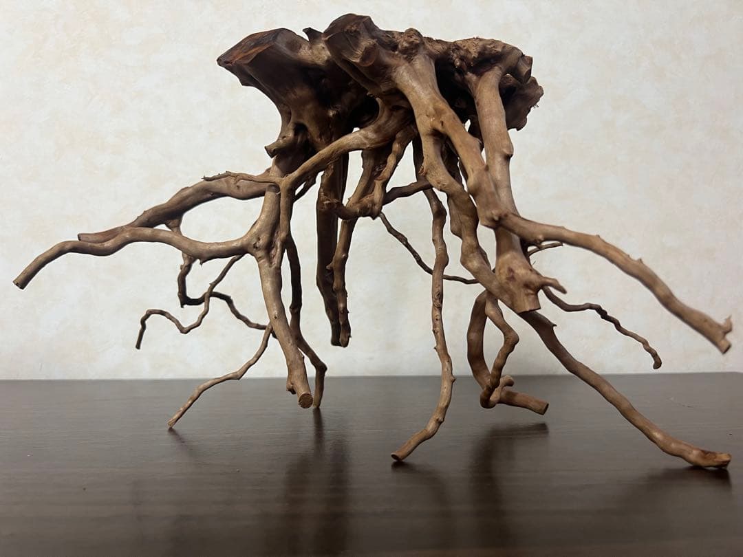 32625 ブランチウッド　流木　アクアリウム 沈水確認済