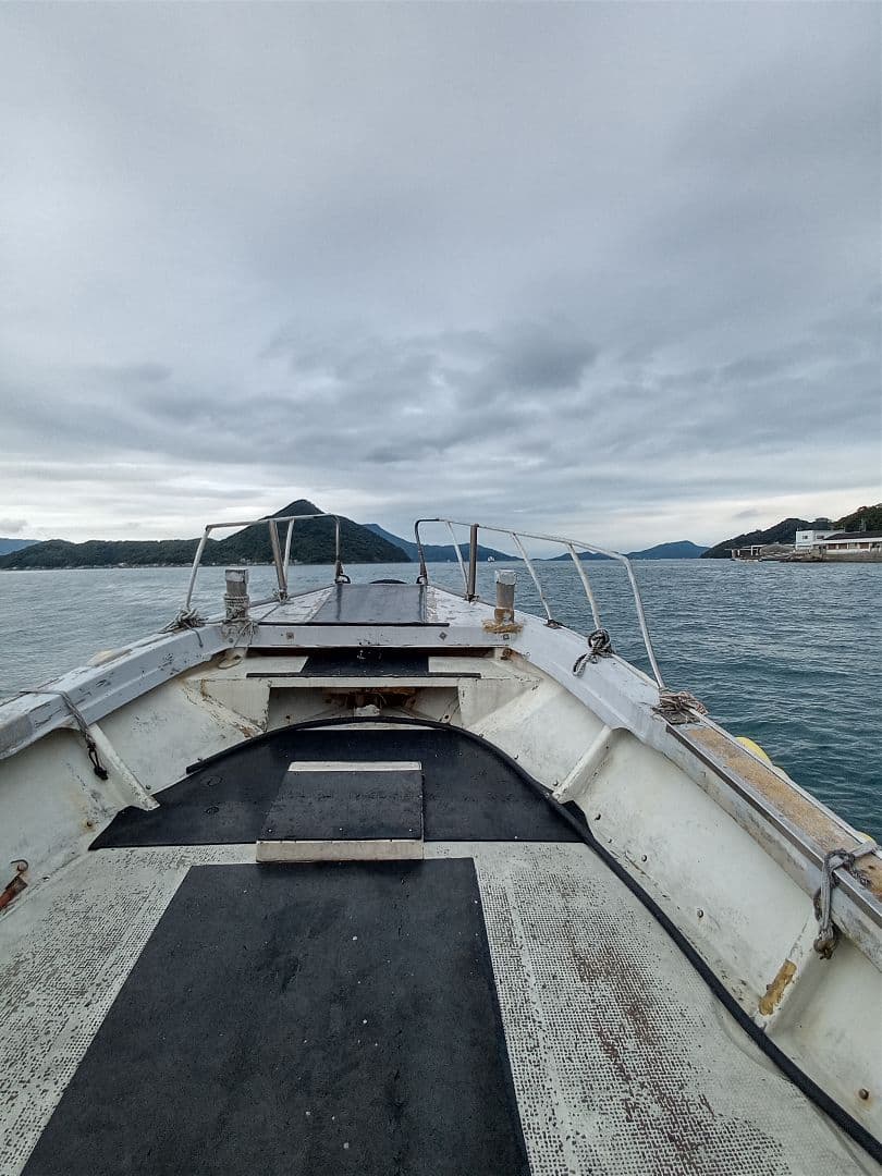 九州産　アンモナイト　プロテキサナイテス　超特大　希少　博物館展示級