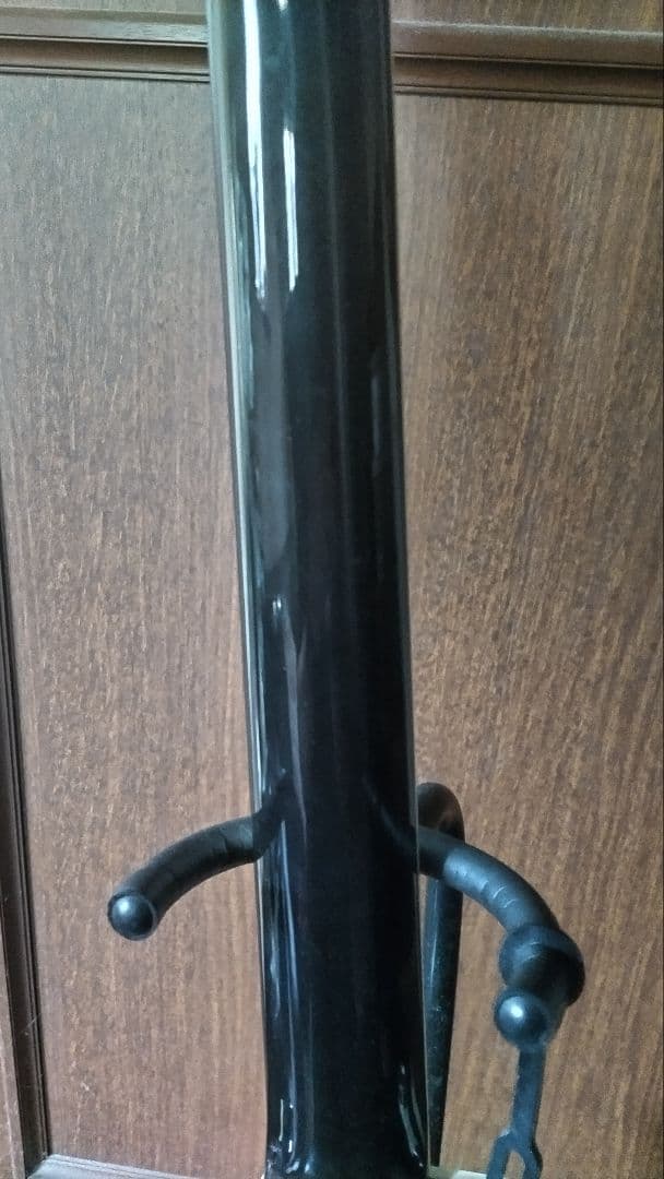 【MIYAVI世界デビュー時のT5改良品】Taylor T5z　ハードケース付