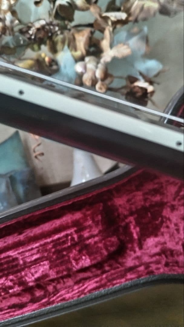 【MIYAVI世界デビュー時のT5改良品】Taylor T5z　ハードケース付