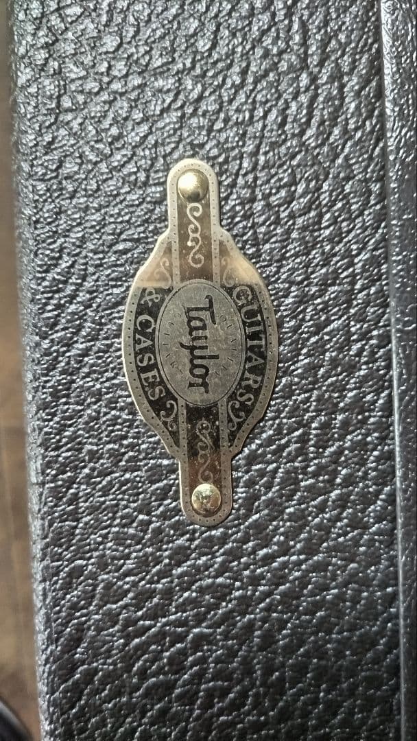 【MIYAVI世界デビュー時のT5改良品】Taylor T5z　ハードケース付