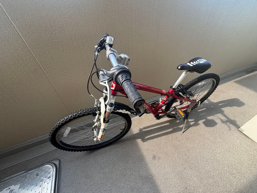 ルイガノ LOUIS GARNEAU LGS-J24 ジュニア自転車