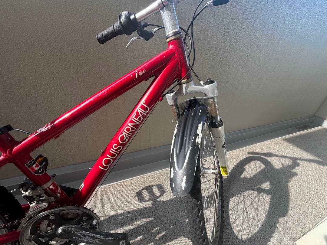 ルイガノ LOUIS GARNEAU LGS-J24 ジュニア自転車