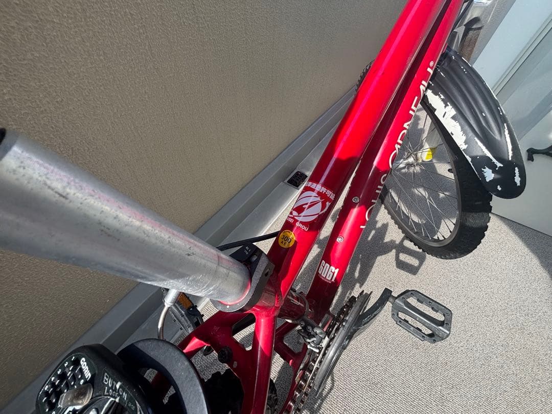 ルイガノ LOUIS GARNEAU LGS-J24 ジュニア自転車