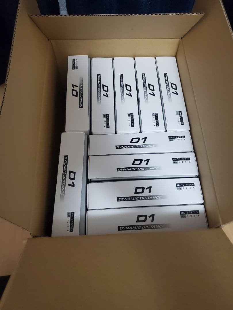 2024年モデル本間ゴルフ　HONMA D1 ゴルフボール　10ダース　ホワイト