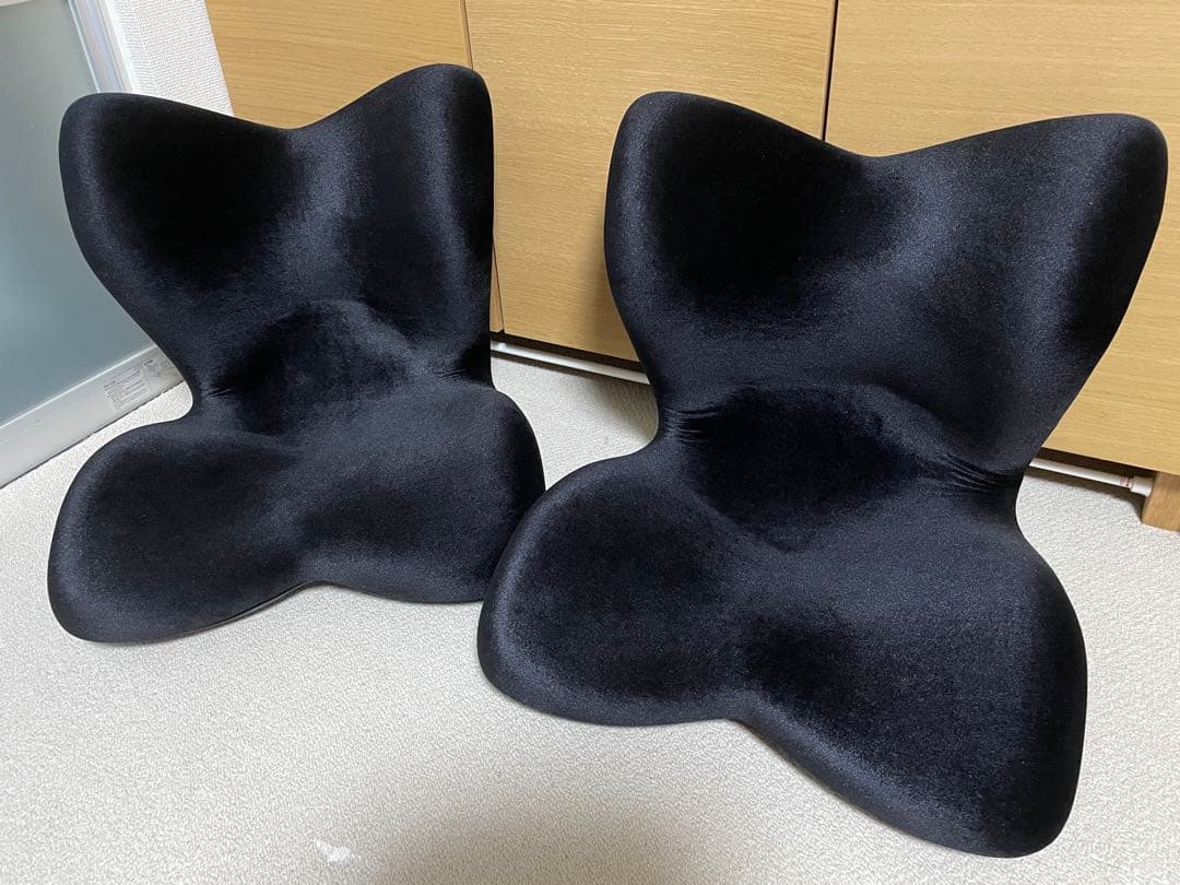 スタイルプレミアムデラックス　2個セット