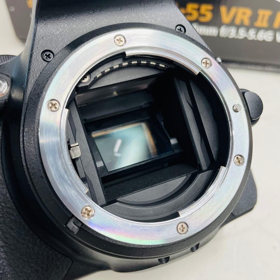 Nikon(ニコン) D5500 ショット数13,642 WW7953