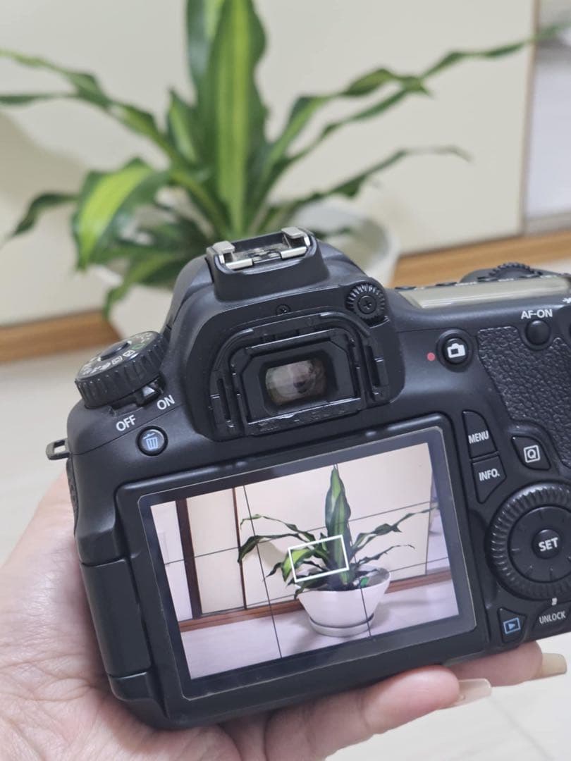 Canon EOS 60D デジタル一眼レフセット