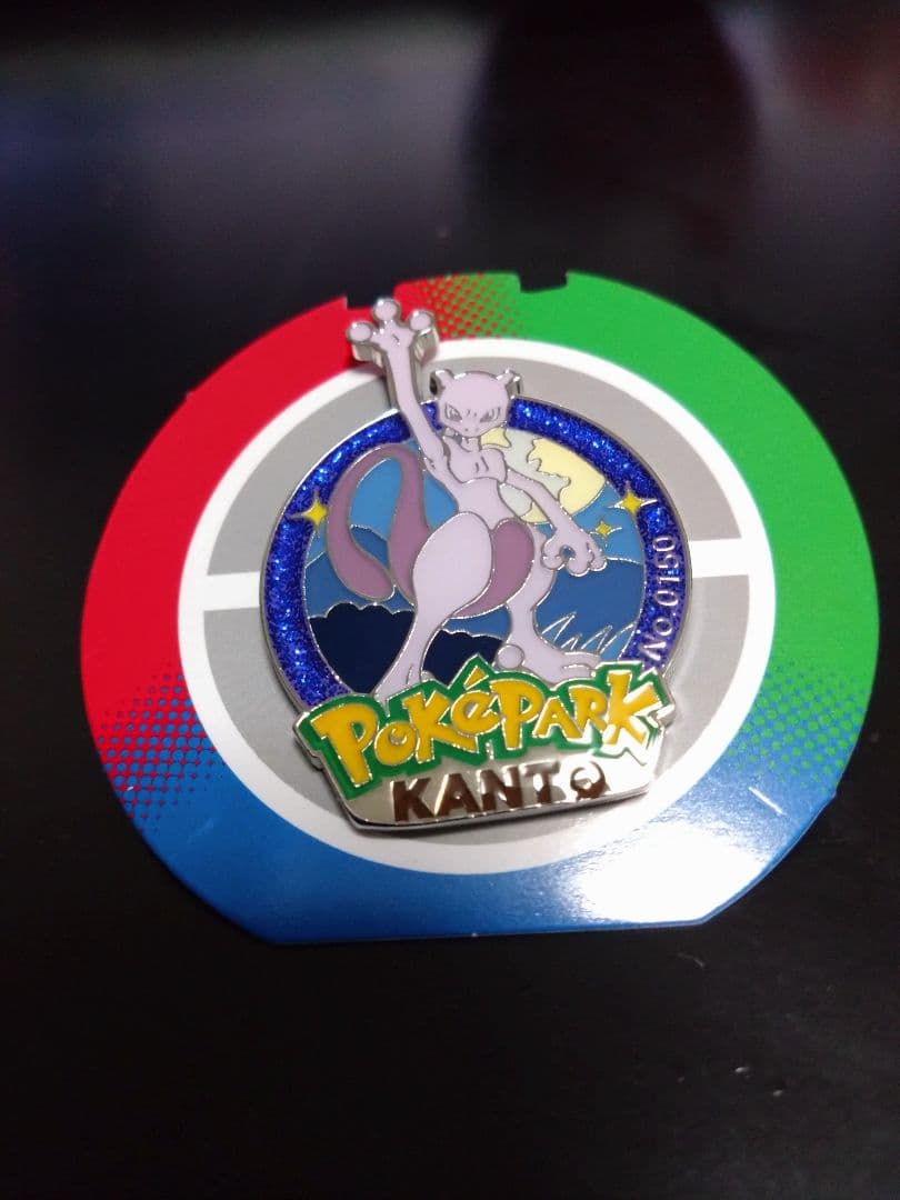 ポケパーク ピンズ ミュウツー