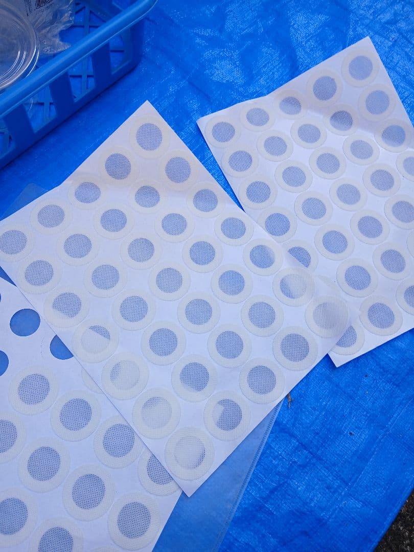 硬質クリアボトル、ボトルコンテナーなど幼虫飼育セット