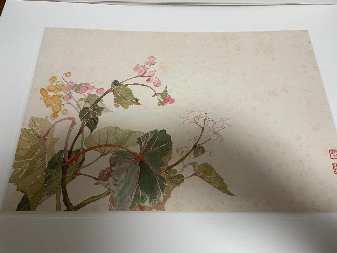 【超大型本】 複製画集 「清惲壽平王翬 花卉山水合册」 故宮博物院