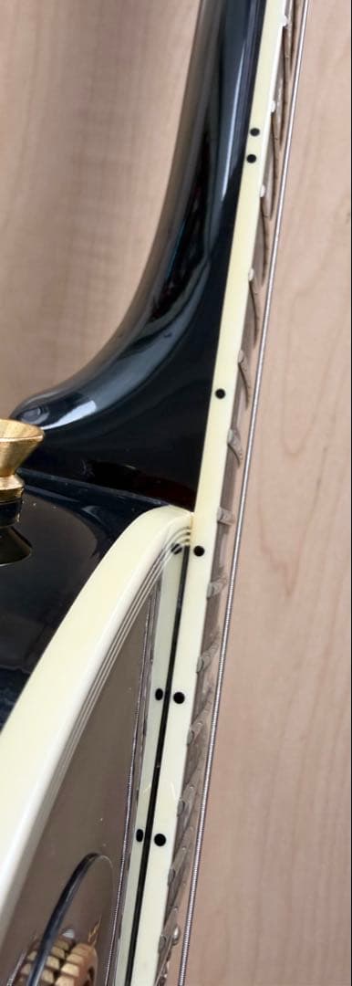 値下げ／EDWARDS E-LP-CTM／ダンカンPU／美品