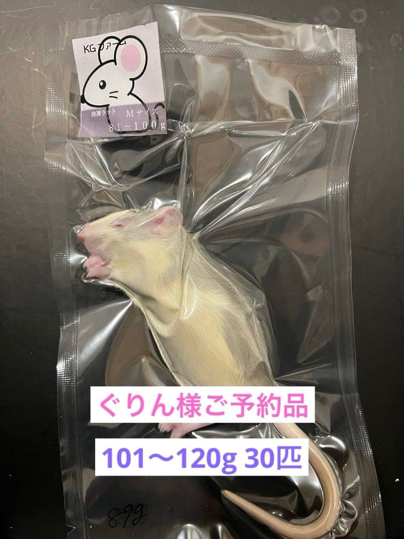 ☆冷凍ラット☆ぐりん様ご予約品