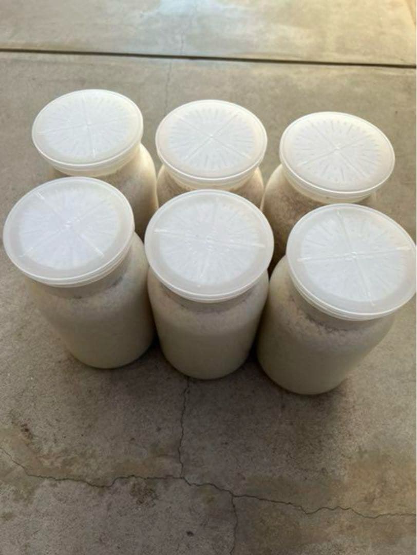 カワラ菌糸産卵用　1100サイズ１０本2ヶ月保存初令幼虫にも最適