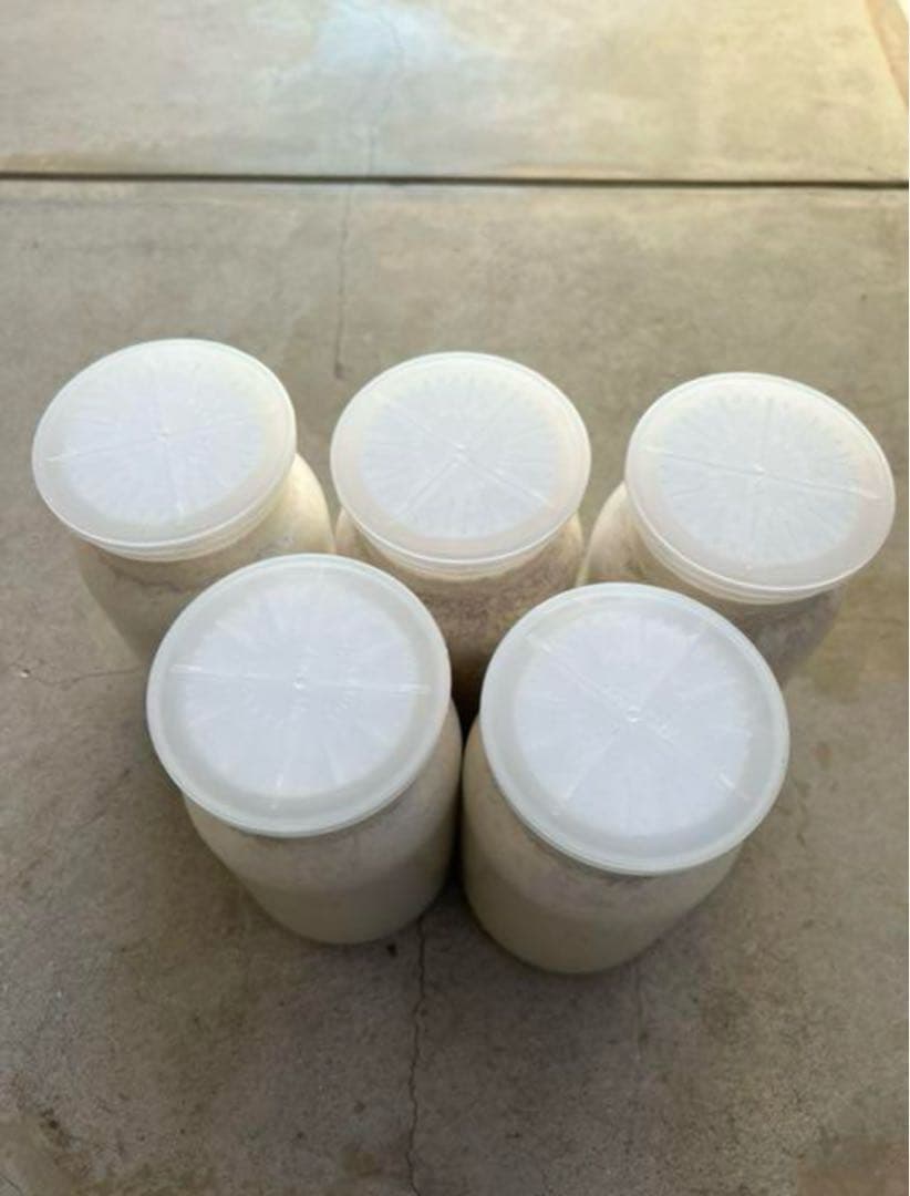 カワラ菌糸産卵用　1100サイズ１０本2ヶ月保存初令幼虫にも最適